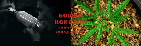 каннабис Арсеньев