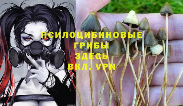 каннабис Арсеньев