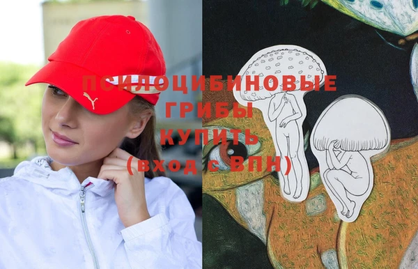 трава Аркадак